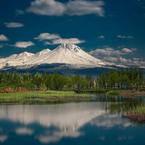  پرنده ای اسیرم کنج قفس میمیرم بیا کناره من باش